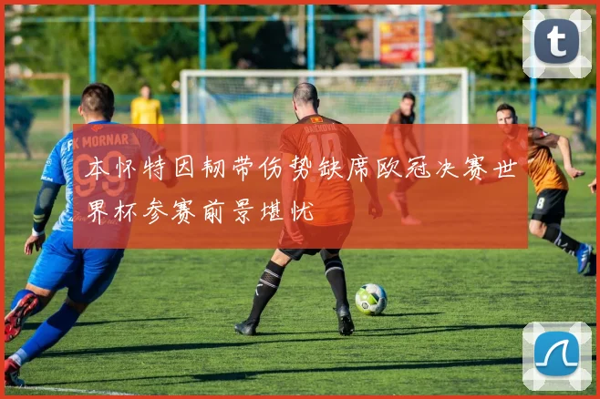 本怀特因韧带伤势缺席欧冠决赛世界杯参赛前景堪忧